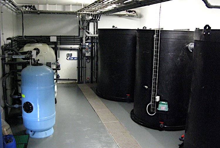 vue sur un traitement des eaux pour portique de lavage entreprise